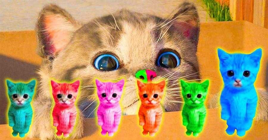 Fluffy Cat Puzzle Time