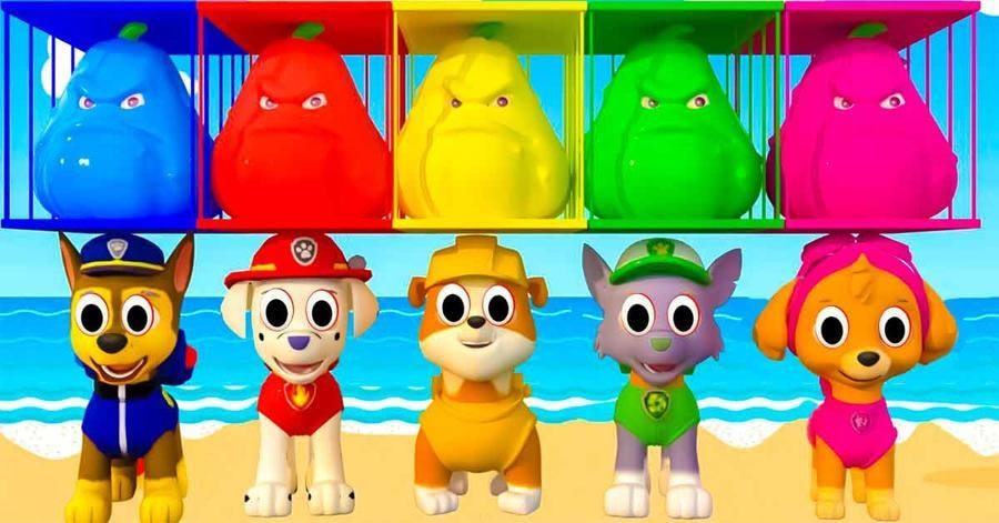 Clever Animal Puzzle Journey