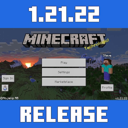 Minecraft 1.21.22