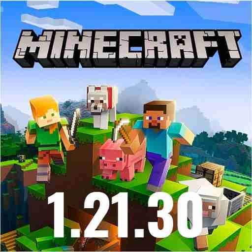 Icon Minecraft 1.21.30