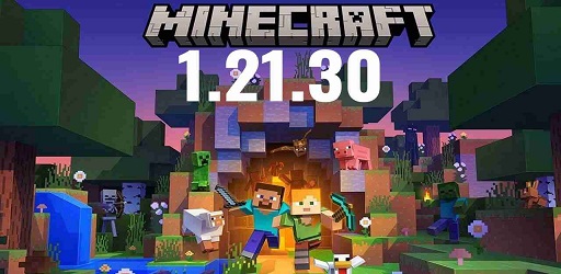 Minecraft 1.21.30