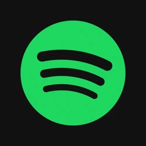 Icon Spotify X